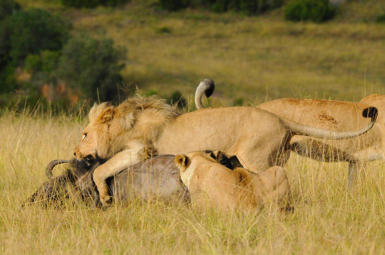 Botlierskop Private Game Reserve Reebok Exterior foto