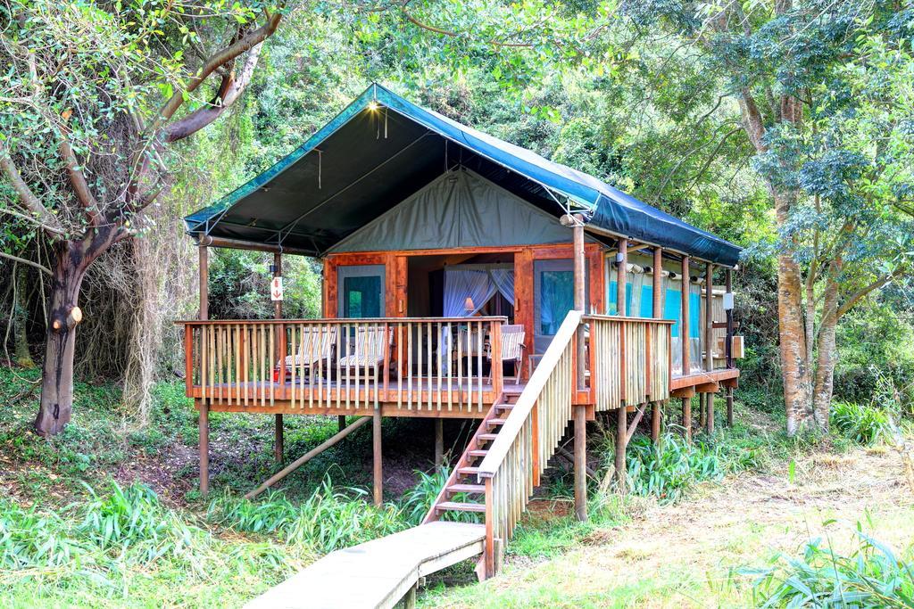 Botlierskop Private Game Reserve Reebok Quarto foto
