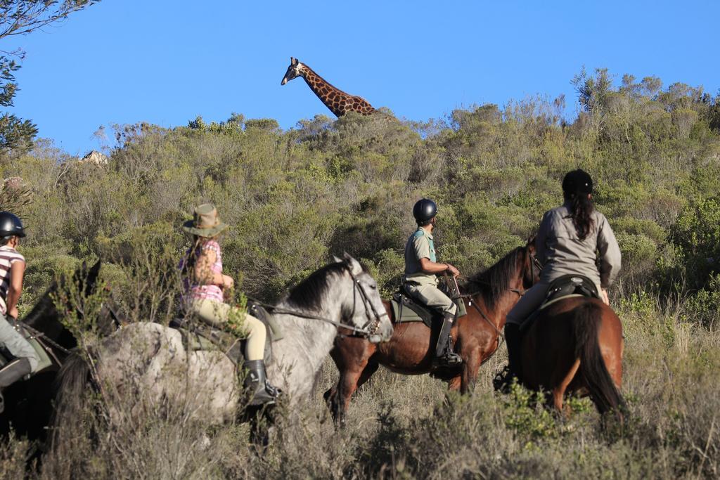 Botlierskop Private Game Reserve Reebok Exterior foto