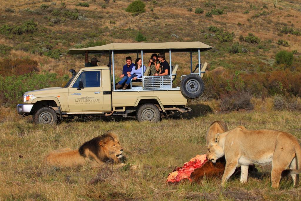 Botlierskop Private Game Reserve Reebok Exterior foto