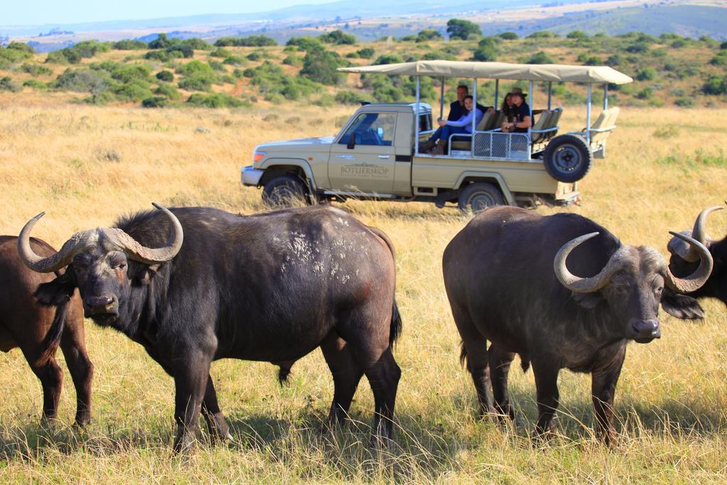 Botlierskop Private Game Reserve Reebok Exterior foto